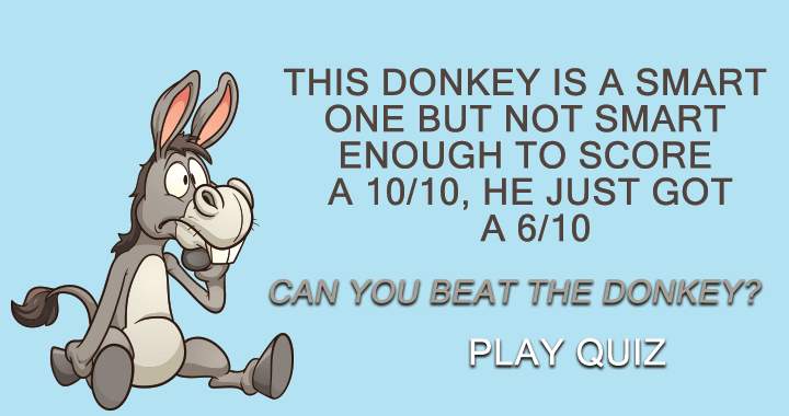 Are you smarter than the donkey?