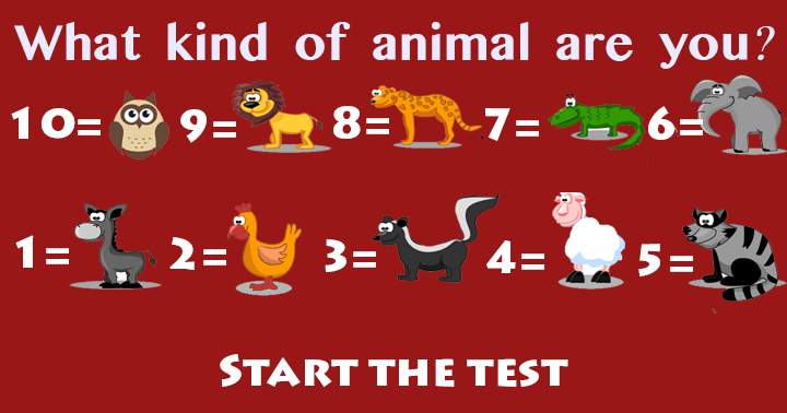 Banner for Discover your animal identity in this General Trivia Quiz.