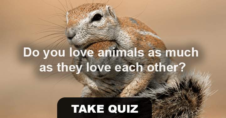 Do you like animals? Then this is the right quiz for you.